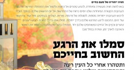 פלאייר חברת שהאל